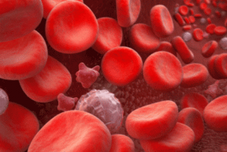 Чем повысить лейкоциты в крови после химиотерапии