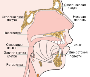 Рак носоглотки симптомы