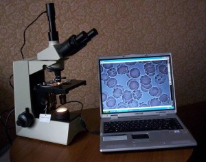 Микроскоп в онкологии