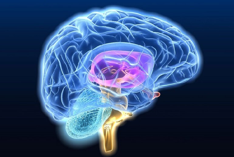 Астроцитома головного мозга: виды, причины, симптомы, лечение