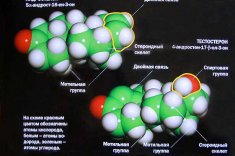 Препараты для лечения аденомы простаты