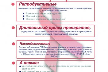 Профилактика рака груди - No-onco.ru