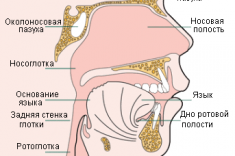 Рак носоглотки симптомы