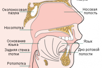 Рак носоглотки симптомы - No-onco.ru
