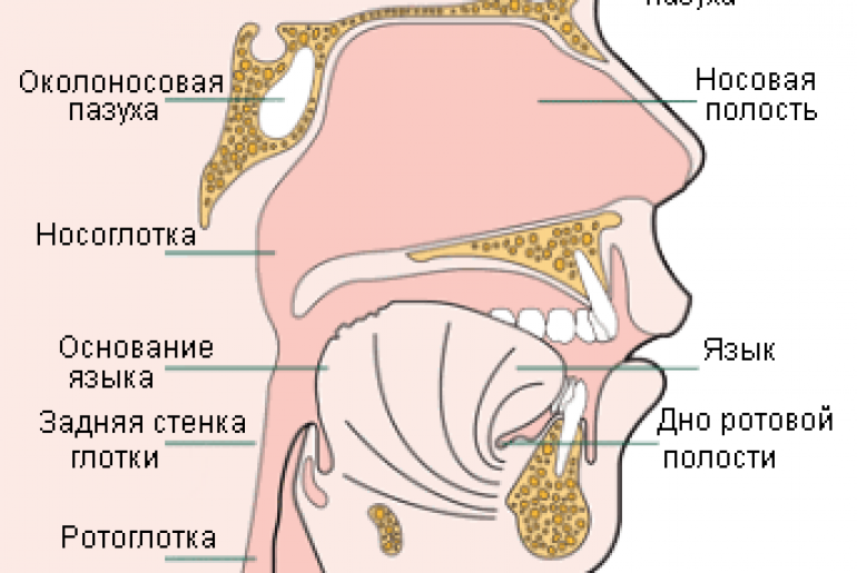 Рак носоглотки симптомы