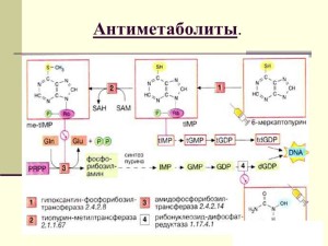 Антиметаболиты